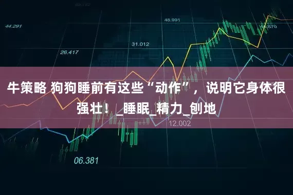 牛策略 狗狗睡前有这些“动作”，说明它身体很强壮！_睡眠_精力_刨地
