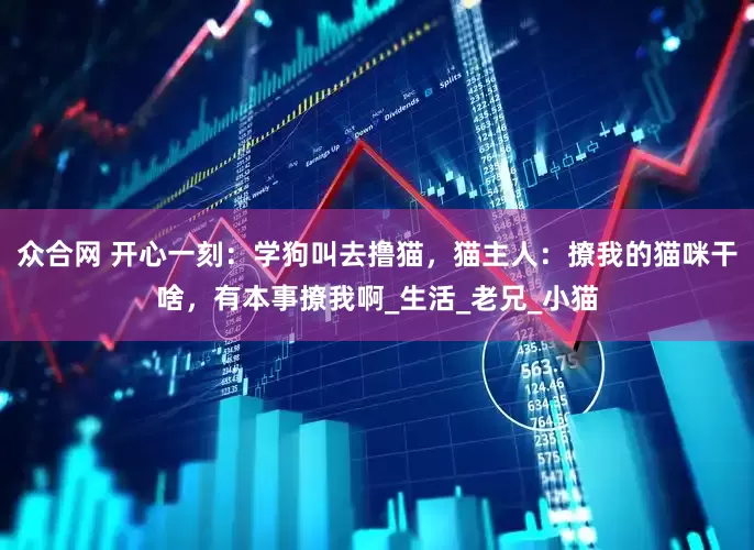 众合网 开心一刻：学狗叫去撸猫，猫主人：撩我的猫咪干啥，有本事撩我啊_生活_老兄_小猫