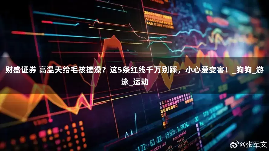 财盛证券 高温天给毛孩搓澡？这5条红线千万别踩，小心爱变害！_狗狗_游泳_运动